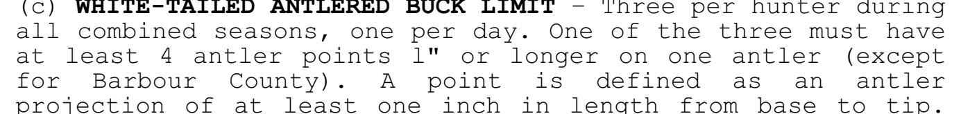 the highlighted excerpt of page 7