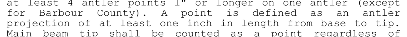 the highlighted excerpt of page 7