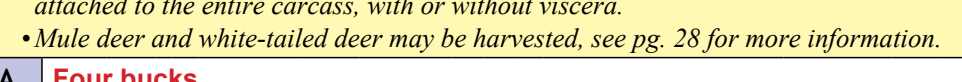 the highlighted excerpt of page 42