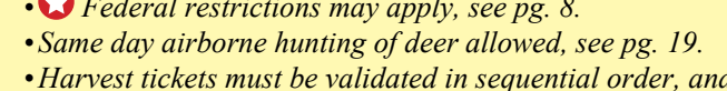 the highlighted excerpt of page 46