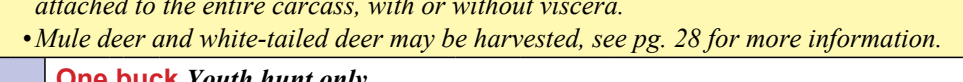 the highlighted excerpt of page 54