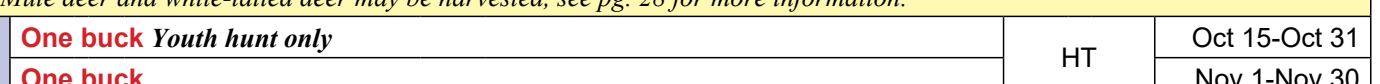 the highlighted excerpt of page 54