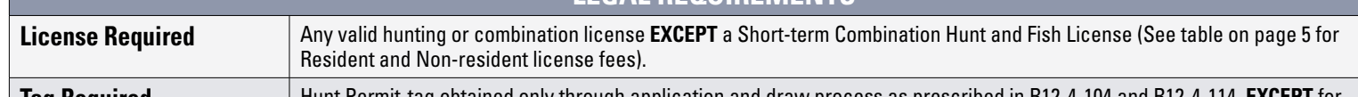 the highlighted excerpt of page 28