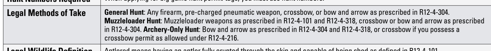 the highlighted excerpt of page 28