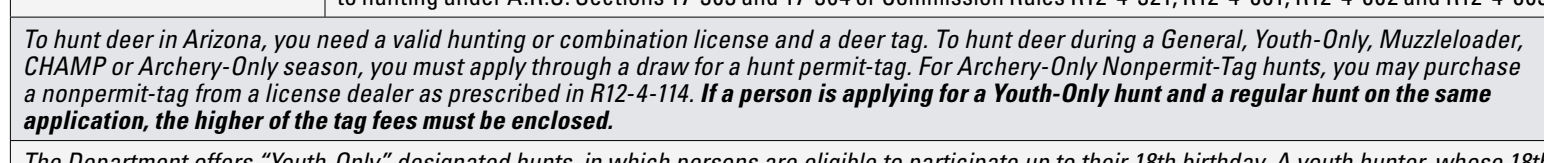the highlighted excerpt of page 28
