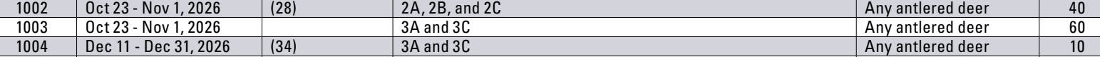 the highlighted excerpt of page 29