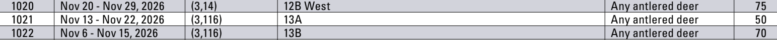 the highlighted excerpt of page 29