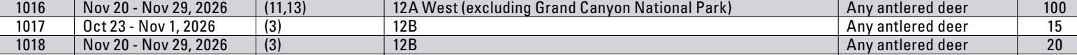 the highlighted excerpt of page 29