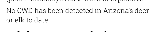 the highlighted excerpt of page 35
