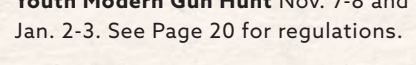 the highlighted excerpt of page 14
