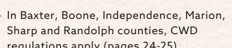 the highlighted excerpt of page 15