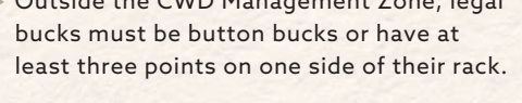 the highlighted excerpt of page 17