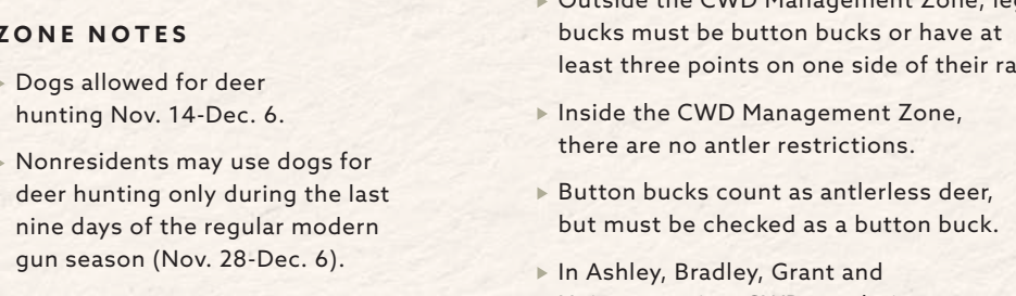 the highlighted excerpt of page 19