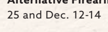 the highlighted excerpt of page 19