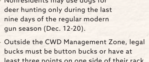 the highlighted excerpt of page 20