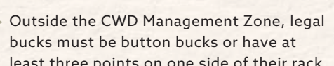 the highlighted excerpt of page 20