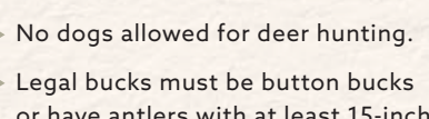 the highlighted excerpt of page 21