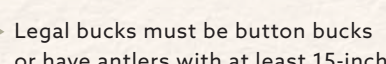 the highlighted excerpt of page 21