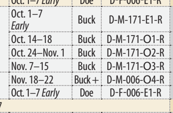 the highlighted excerpt of page 41