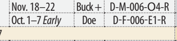 the highlighted excerpt of page 41