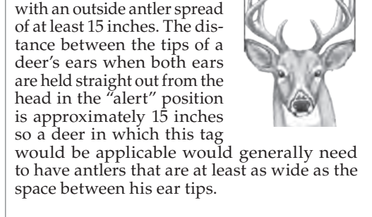the highlighted excerpt of page 23