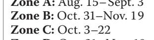 the highlighted excerpt of page 20