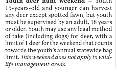 the highlighted excerpt of page 21