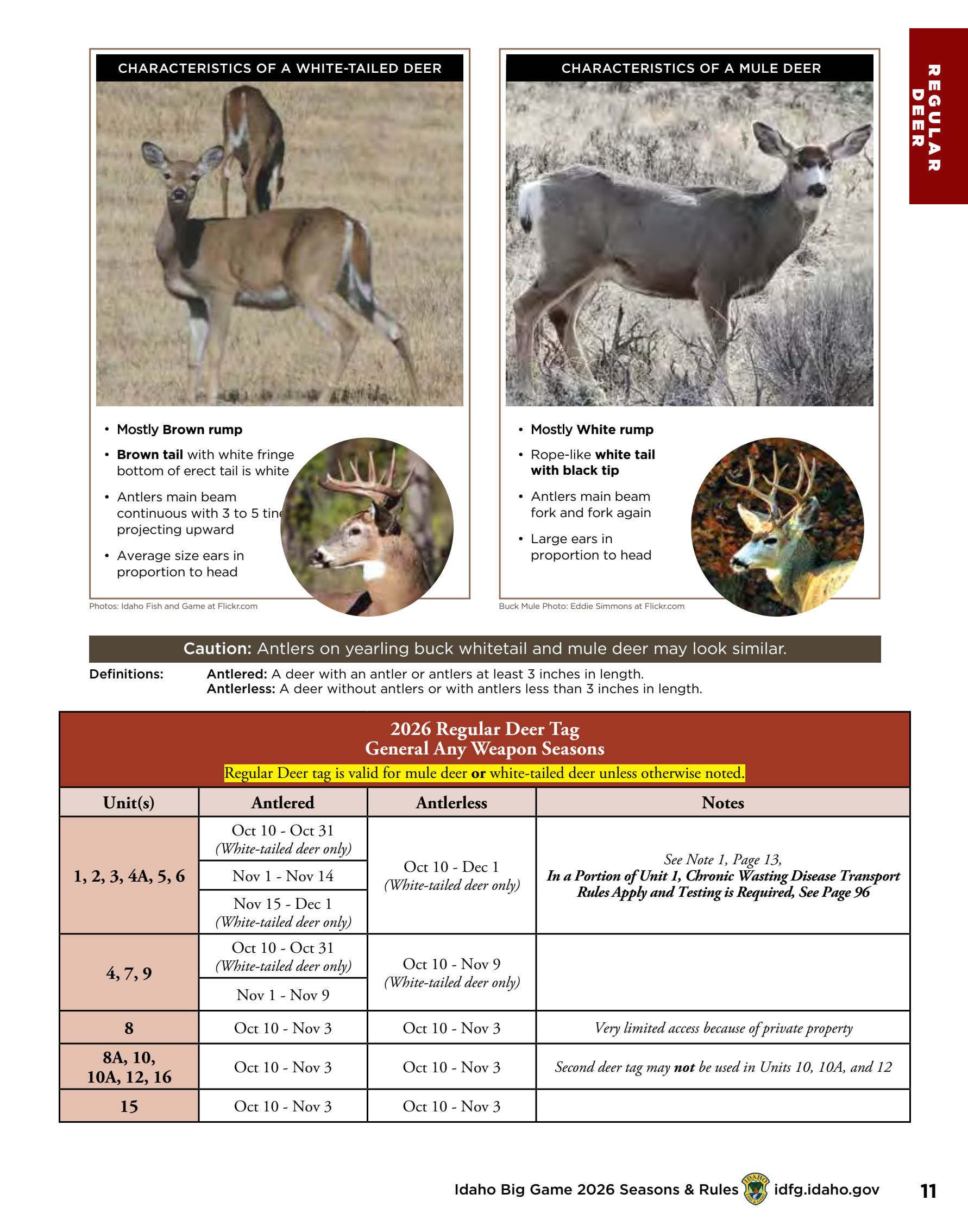 page 11 of id_regs.pdf