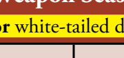the highlighted excerpt of page 13