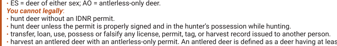 the highlighted excerpt of page 16