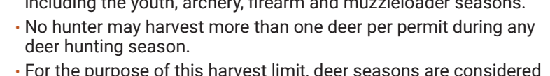 the highlighted excerpt of page 17