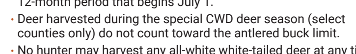 the highlighted excerpt of page 17