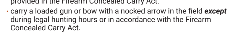 the highlighted excerpt of page 17
