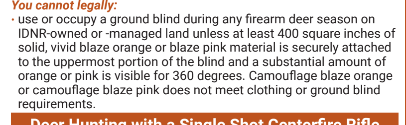 the highlighted excerpt of page 17