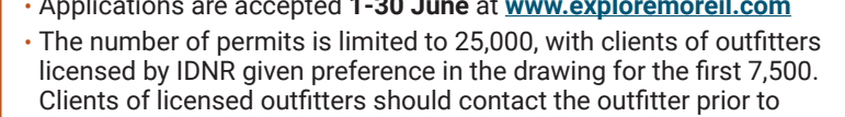 the highlighted excerpt of page 20