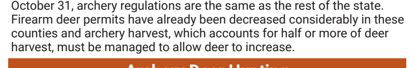 the highlighted excerpt of page 20