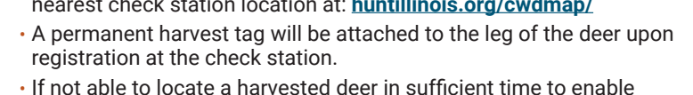 the highlighted excerpt of page 20