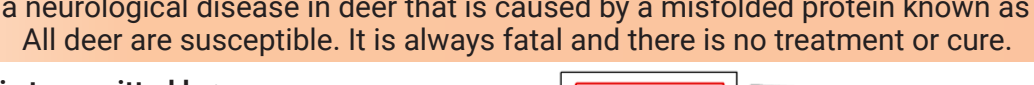 the highlighted excerpt of page 21