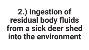 the highlighted excerpt of page 21
