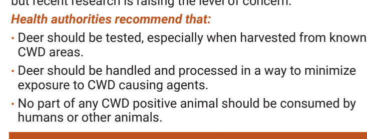 the highlighted excerpt of page 21