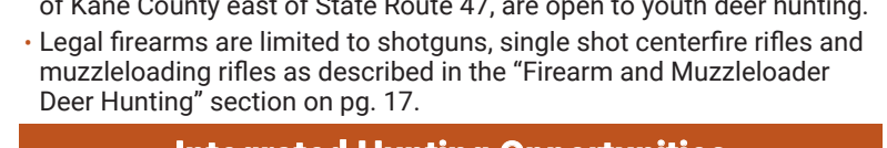 the highlighted excerpt of page 23