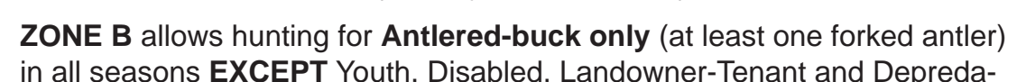 the highlighted excerpt of page 7