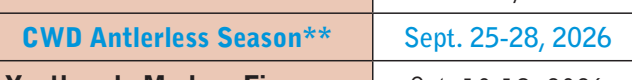 the highlighted excerpt of page 12