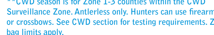 the highlighted excerpt of page 12