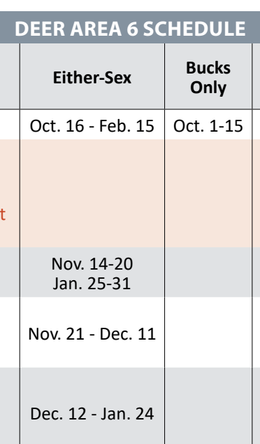 the highlighted excerpt of page 22