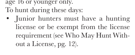 the highlighted excerpt of page 22
