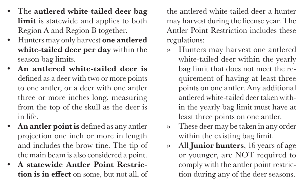the highlighted excerpt of page 22