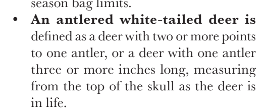 the highlighted excerpt of page 22