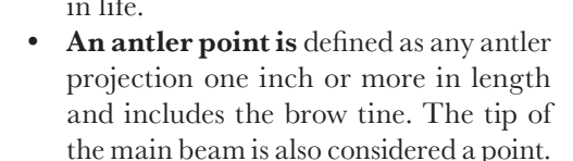 the highlighted excerpt of page 22