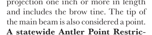 the highlighted excerpt of page 22